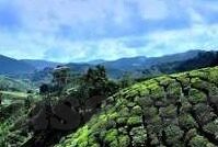 世界杯梅西被5人包围-梅西在世界杯舞台上的困境与突破，五人在场，他如何独舞